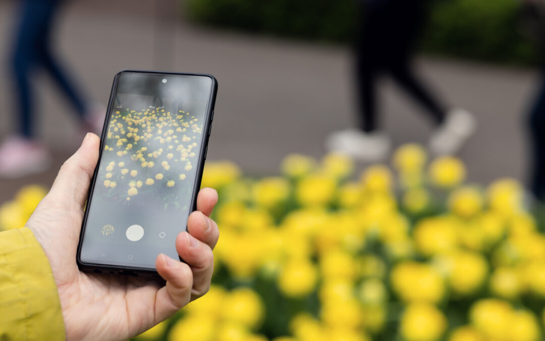Zdjęcia produktów smartfonem – jak przygotować spójny zestaw ujęć do sklepu internetowego?